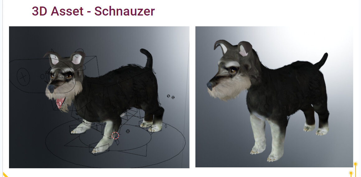 XR Pre-Vet Training image